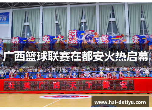 广西篮球联赛在都安火热启幕